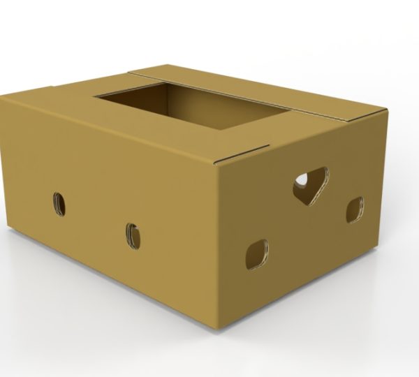 Tapa y Fondo Standard 18KG